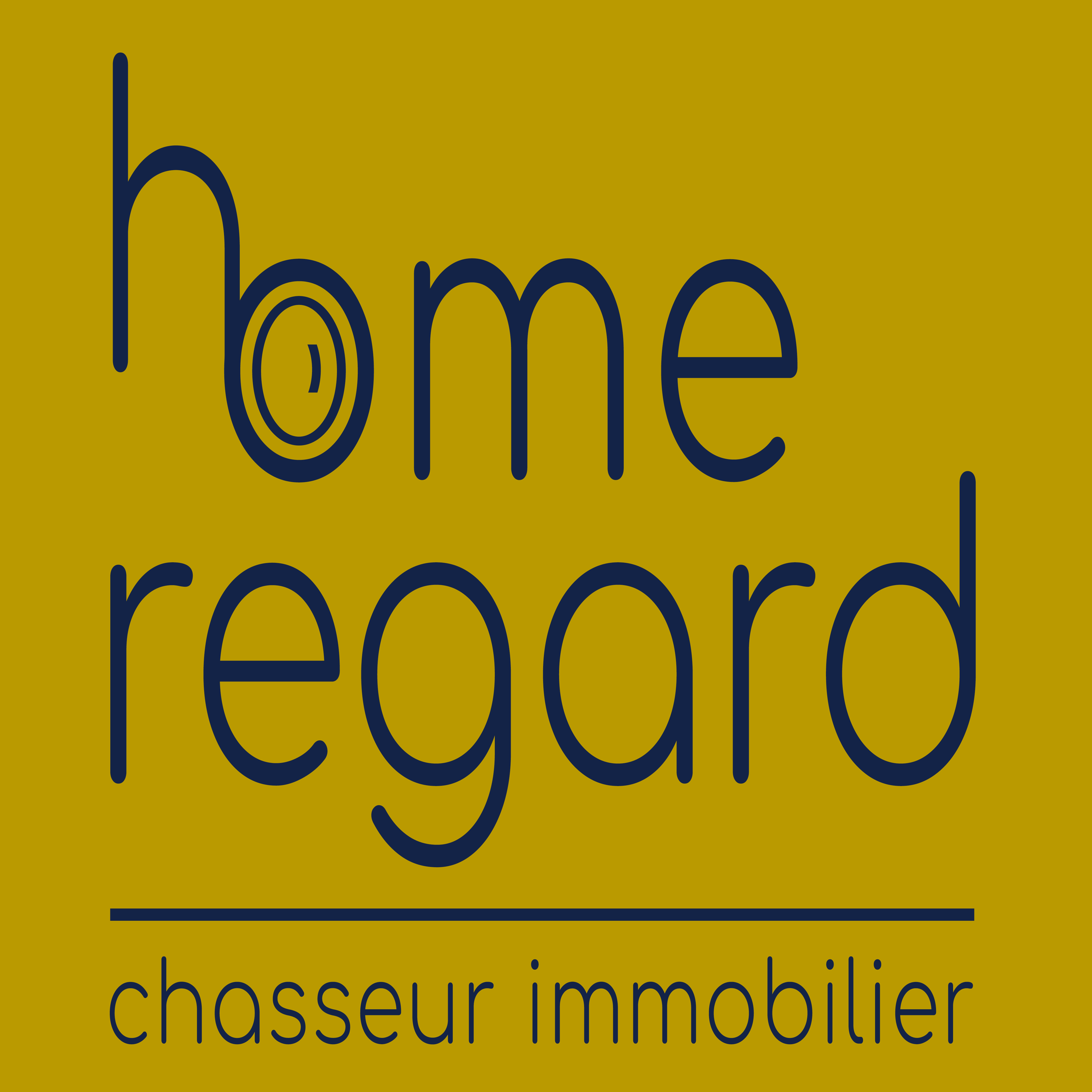 home regard chasseur immobilier